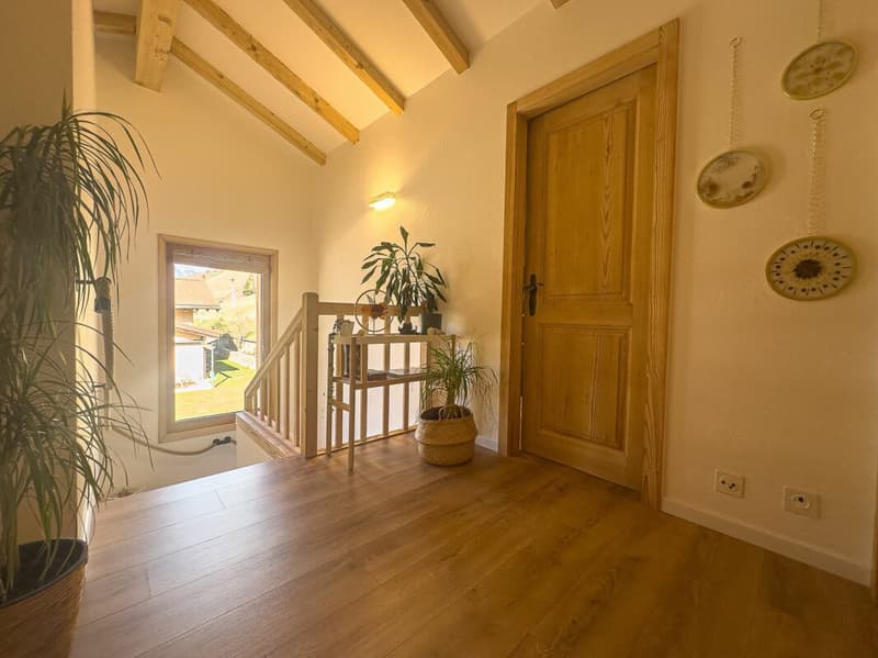 Beautiful renovated house (12)