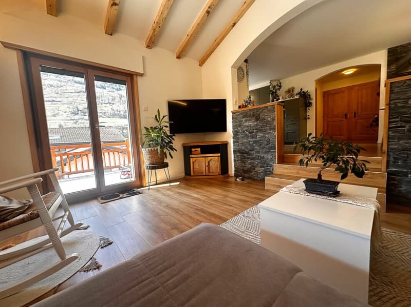 Beautiful renovated house (3)