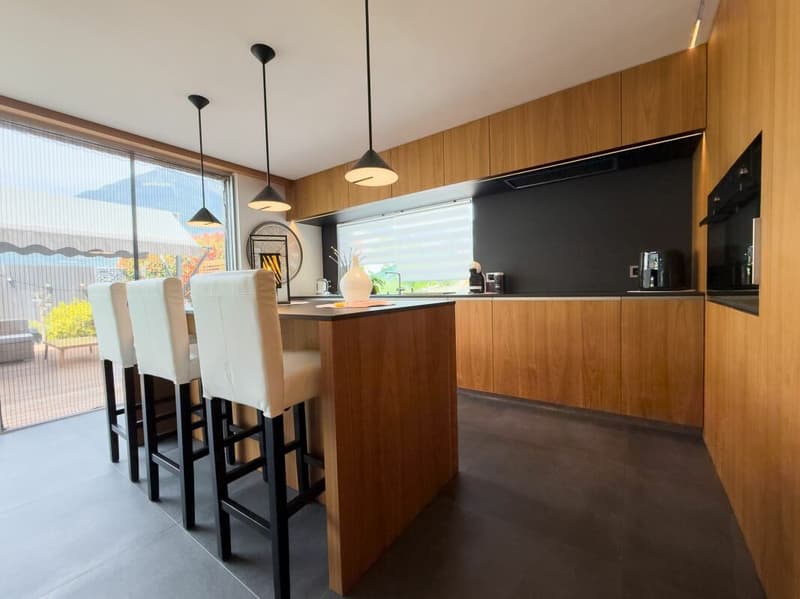 Elegant contemporary house (2)
