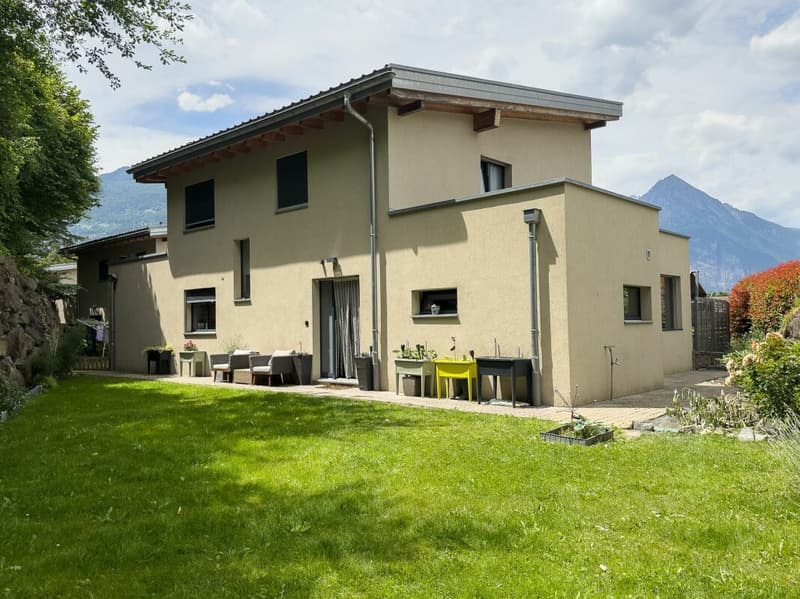 Elegant contemporary house (19)