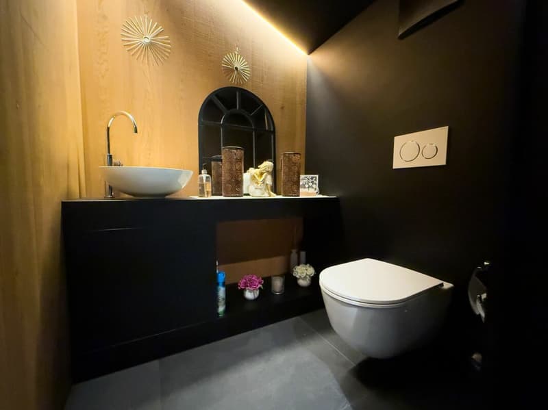 Elegant contemporary house (14)