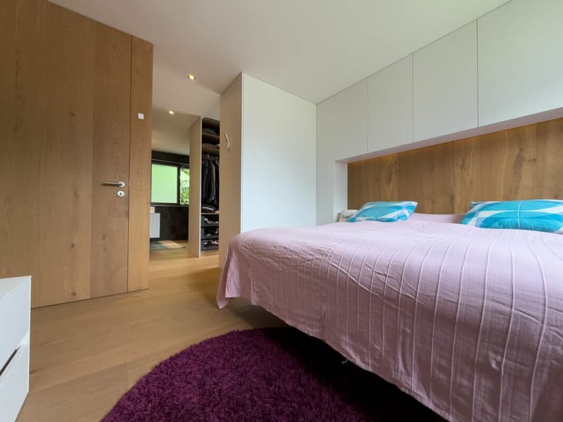 Elegant contemporary house (10)