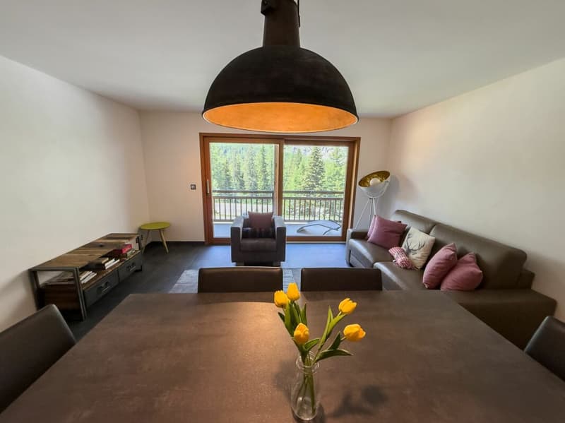 2,5 Zimmer mit Panoramablick auf die Gipfel (3)