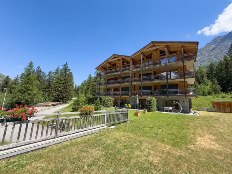 2,5 Zimmer mit Panoramablick auf die Gipfel (8)