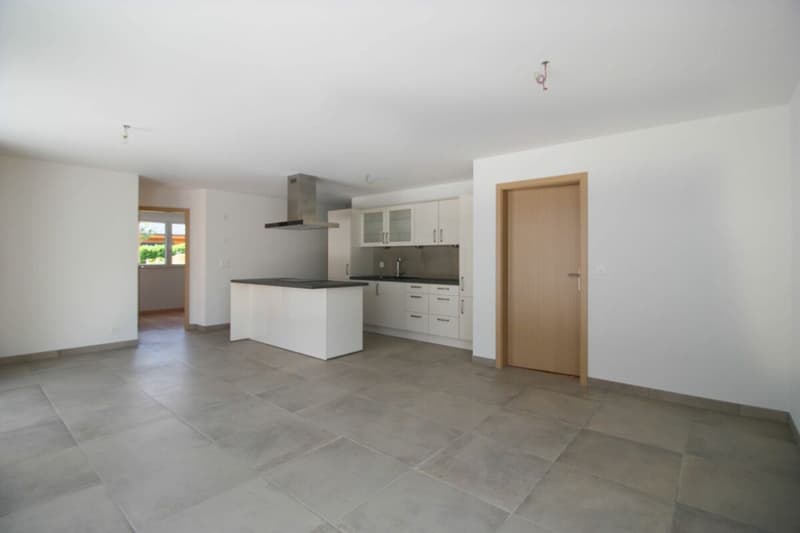 Superbe 4.5 pièces avec terrasse et vue dégagée (4)