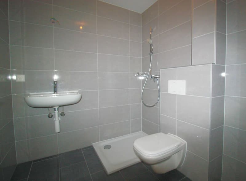 Superbe 4.5 pièces avec terrasse et vue dégagée (11)