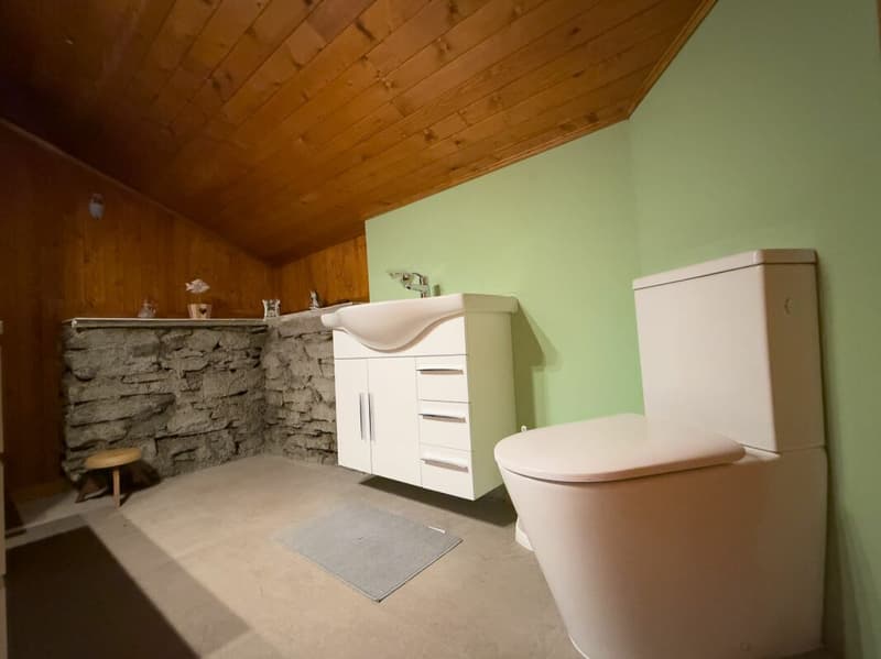 Appartement de charme dans une maison villageoise (4)