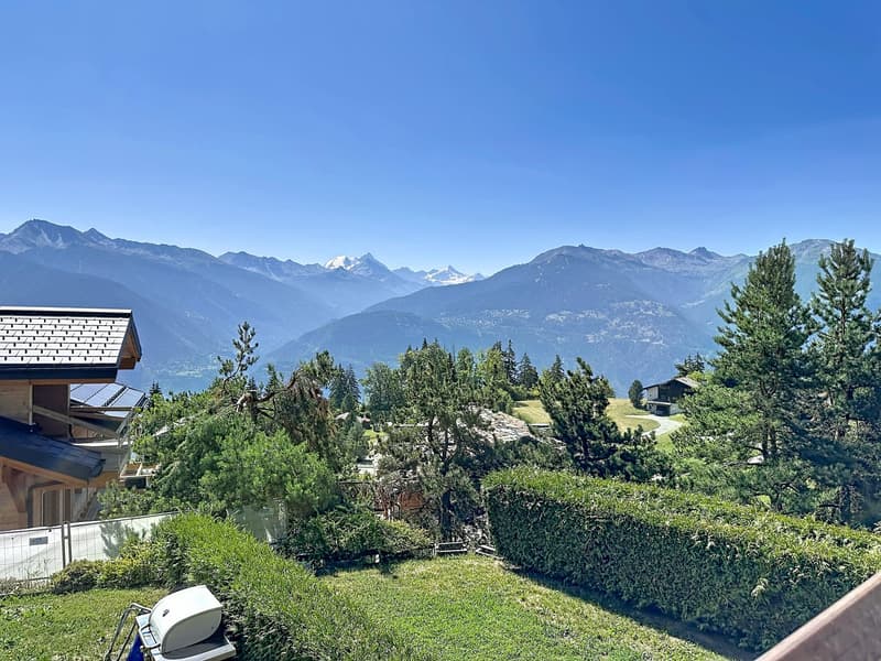 SUPERB DUPLEX APARTMENT WITH 3.5 ROOMS AND TERRACE (15)