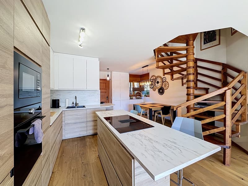 SUPERB DUPLEX APARTMENT WITH 3.5 ROOMS AND TERRACE (8)