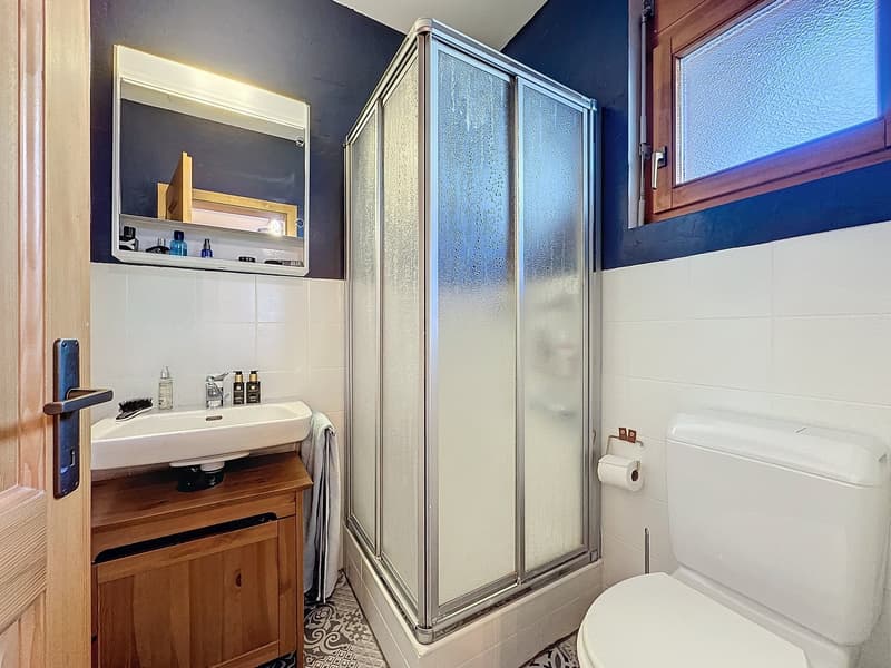 Bathroom with shower stall, sink, wooden cabinet, and toilet