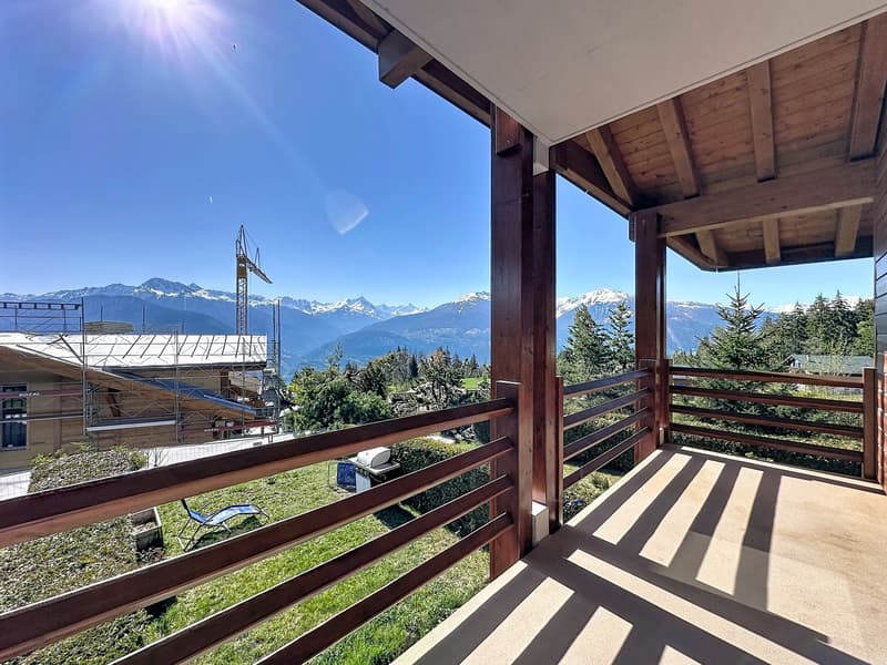 SUPERB DUPLEX APARTMENT WITH 3.5 ROOMS AND TERRACE (14)