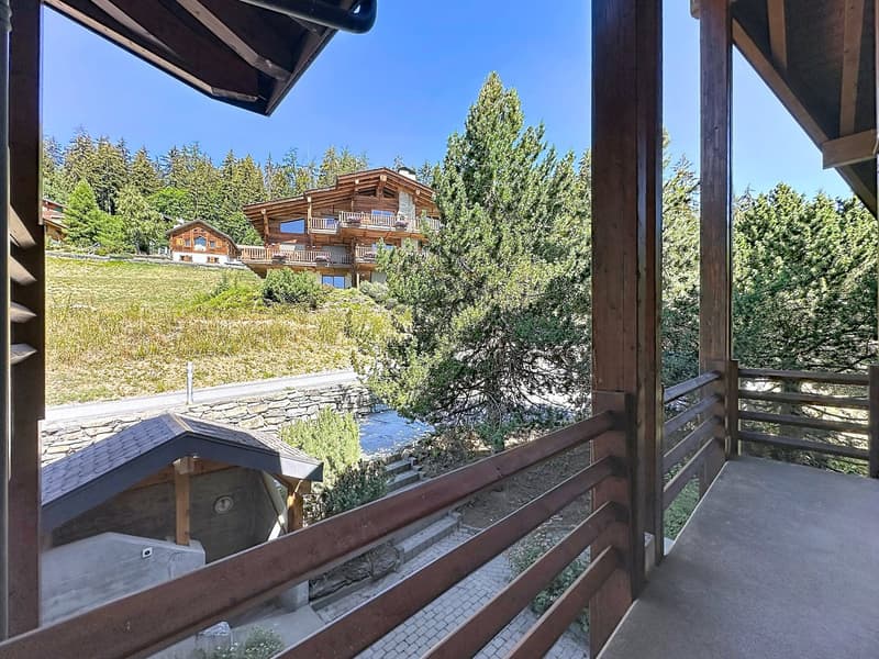 SUPERB DUPLEX APARTMENT WITH 3.5 ROOMS AND TERRACE (17)