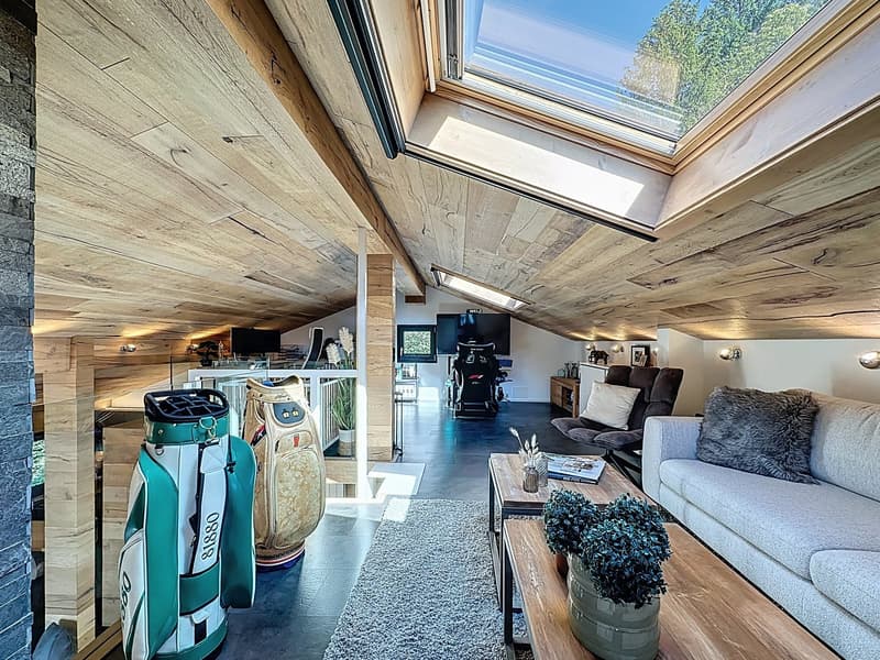Wooden ceiling, large windows, skylight, couch, table with plant, golf bag, gray rug