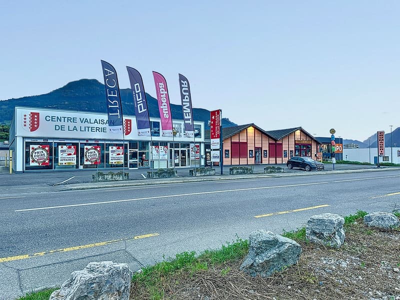 A commercial building with a car parked outside, flags on poles, large windows, red doors, mountains in the background.