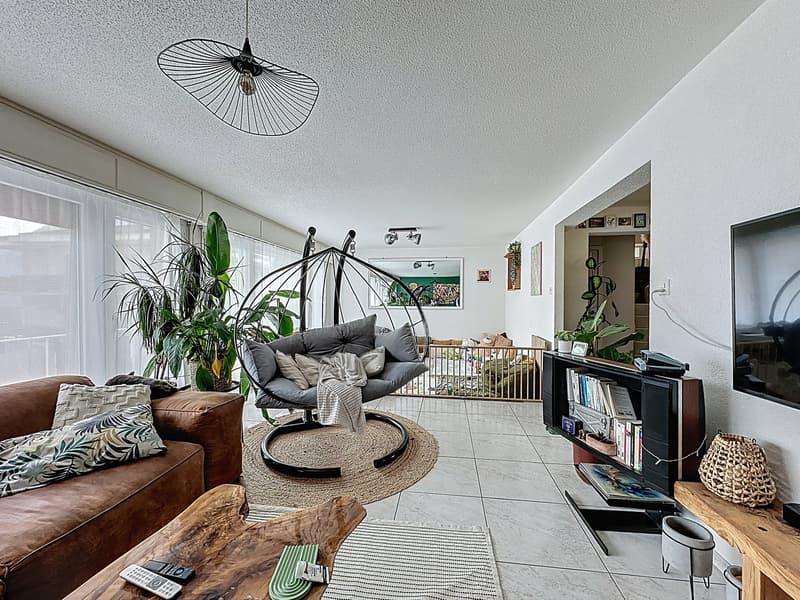 comfortable grey sofa, hanging chair, TV stand, books, coffee table, potted plants