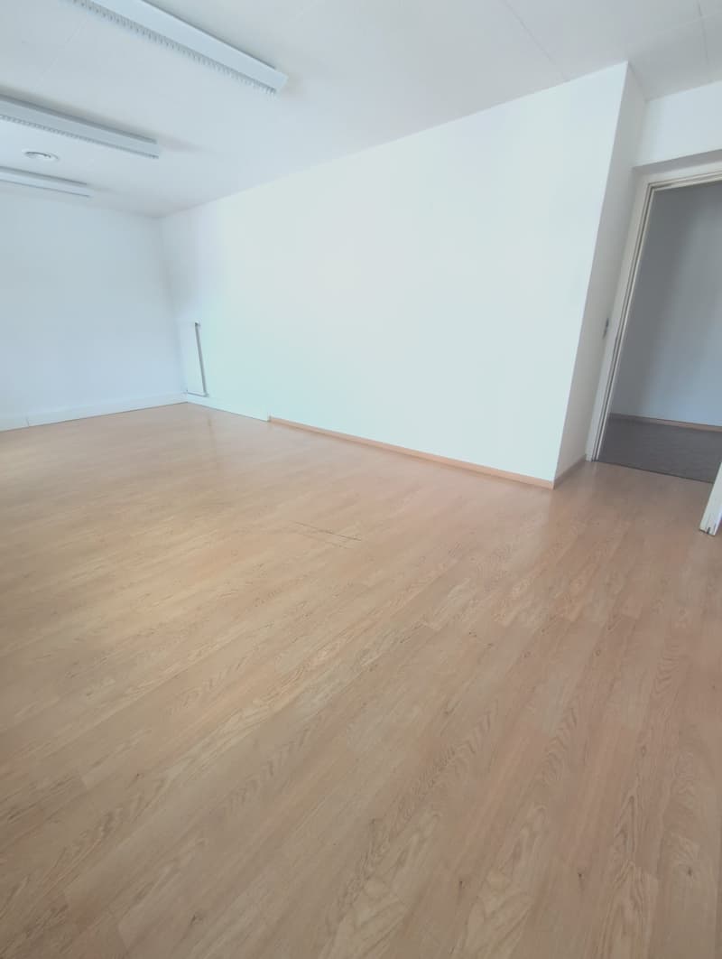 À louer, dépôts destinés principalement pour du stockage, à Sion ! (29)