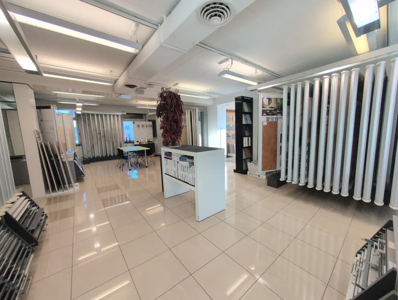 spacious room, white tiles, high ceilings, ceiling lights, white furniture, shelves with books and materials, central plant