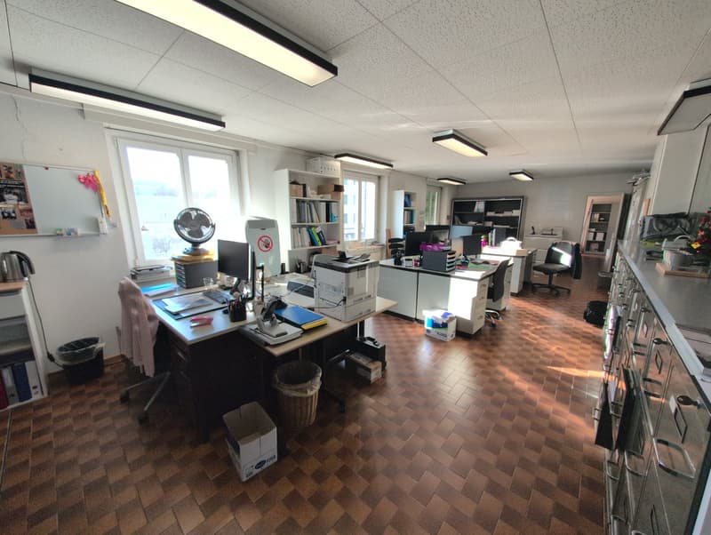 office room, desks, chairs, shelves, window, ceiling lamps