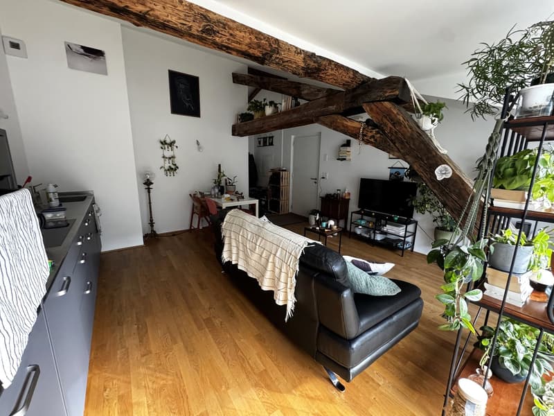 Kleines Juwel! Zur Miete, im Herzen von Martigny, eine atypische 2-Zimmer-Wohnung! (5)