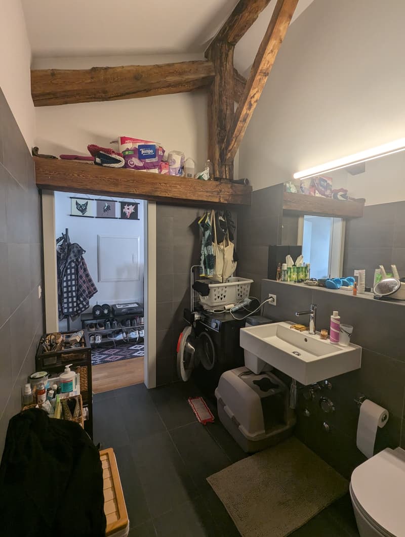 Kleines Juwel! Zur Miete, im Herzen von Martigny, eine atypische 2-Zimmer-Wohnung! (14)