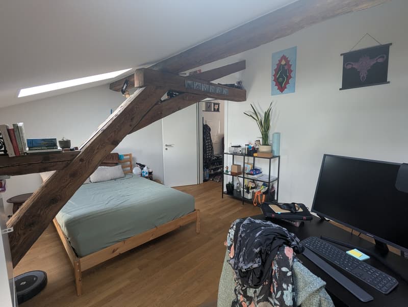 Kleines Juwel! Zur Miete, im Herzen von Martigny, eine atypische 2-Zimmer-Wohnung! (12)