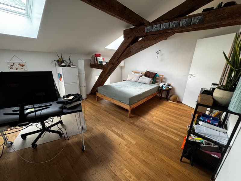 Kleines Juwel! Zur Miete, im Herzen von Martigny, eine atypische 2-Zimmer-Wohnung! (11)