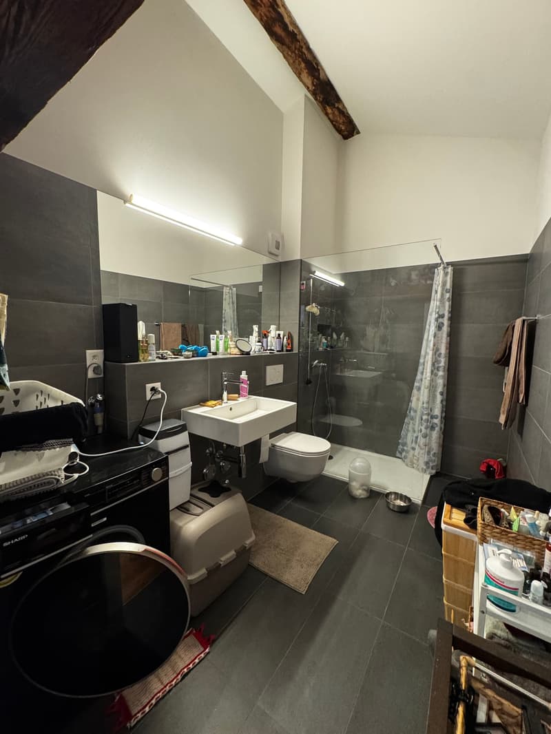 Kleines Juwel! Zur Miete, im Herzen von Martigny, eine atypische 2-Zimmer-Wohnung! (13)