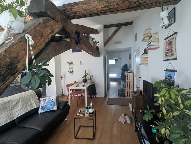 Kleines Juwel! Zur Miete, im Herzen von Martigny, eine atypische 2-Zimmer-Wohnung! (7)
