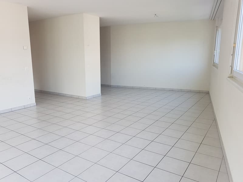 In affitto! Un bellissimo e spazioso appartamento di 4 locali nel cuore di Sion! (5)