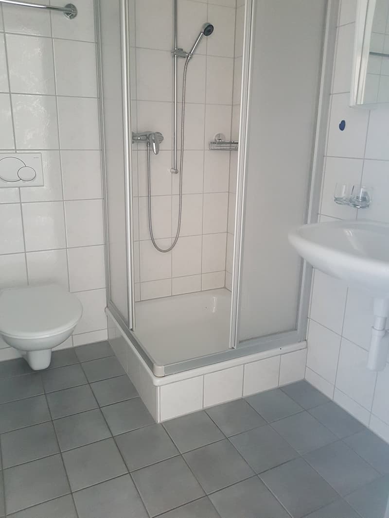 In affitto! Un bellissimo e spazioso appartamento di 4 locali nel cuore di Sion! (14)