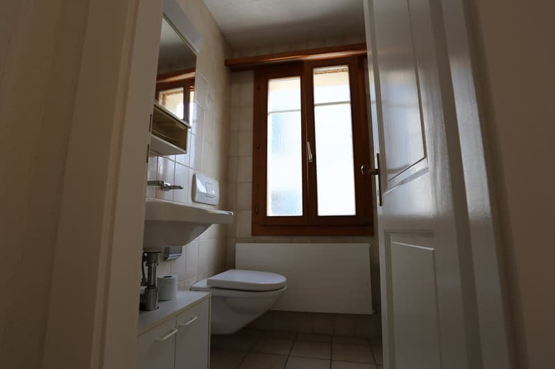 Zu vermieten, schönes renoviertes Apartment mit 3,5 Zimmern in Sierre! (11)