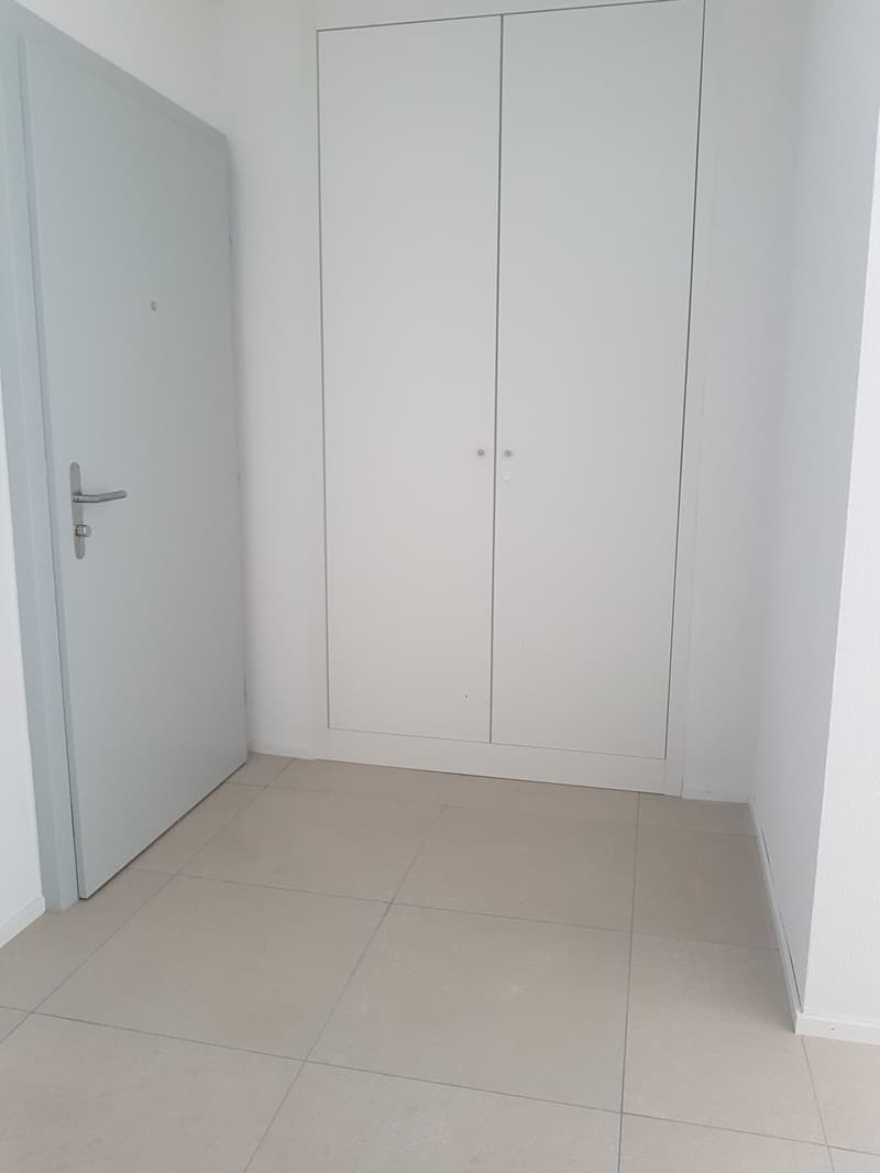À louer, un magnifique appartement de 2 pièces 1/2, avec pelouse, à Martigny ! (2)