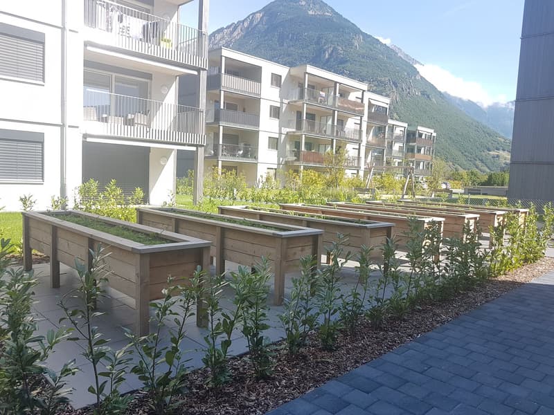 À louer, un magnifique appartement de 2 pièces 1/2, avec pelouse, à Martigny ! (8)