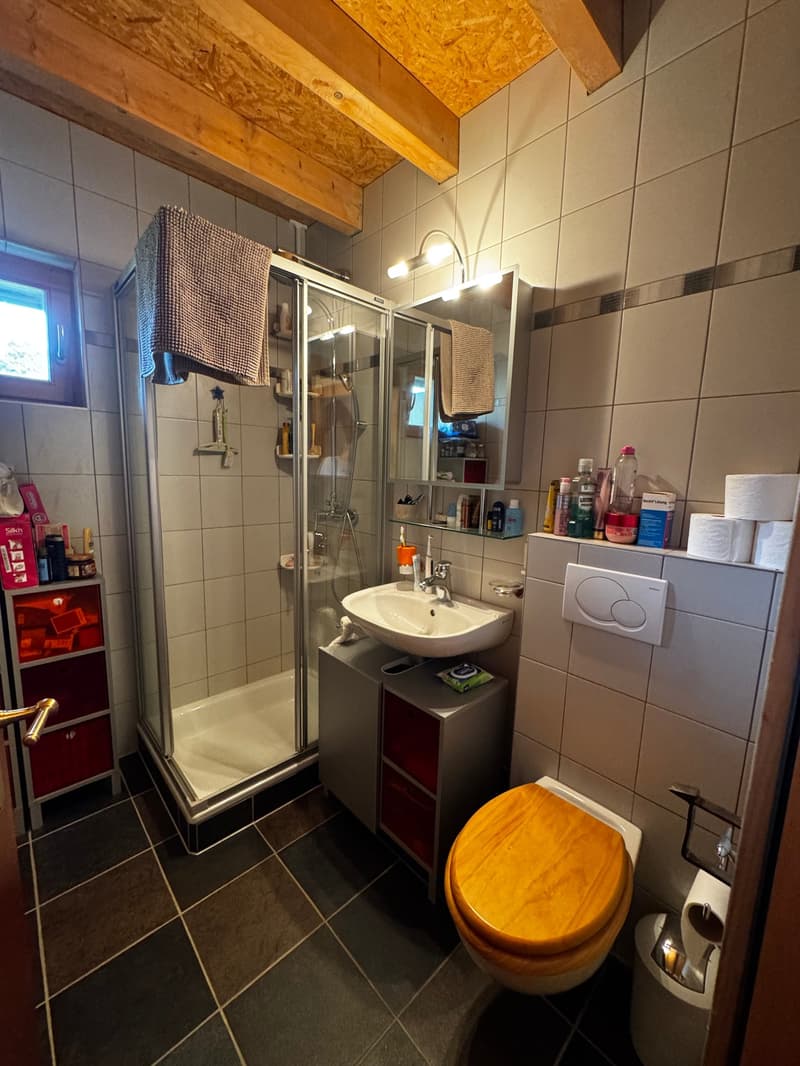 Außergewöhnliches Objekt! Schönes 5.5-Zimmer-Chalet! (10)