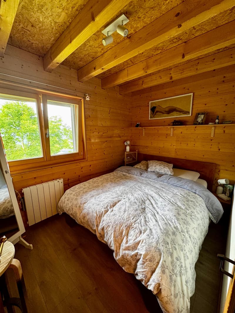 Außergewöhnliches Objekt! Schönes 5.5-Zimmer-Chalet! (8)