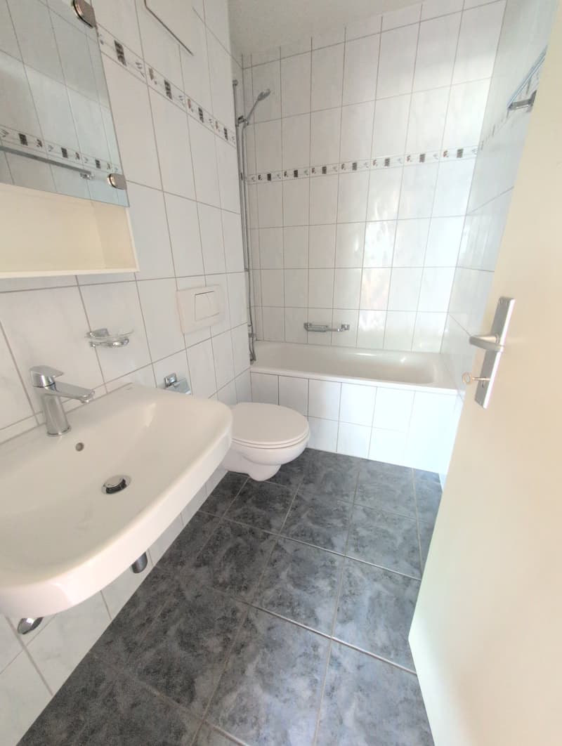 À louer, un joli appartement de 3 pièces 1/2, dans un cadre agréable, à Sion ! (10)