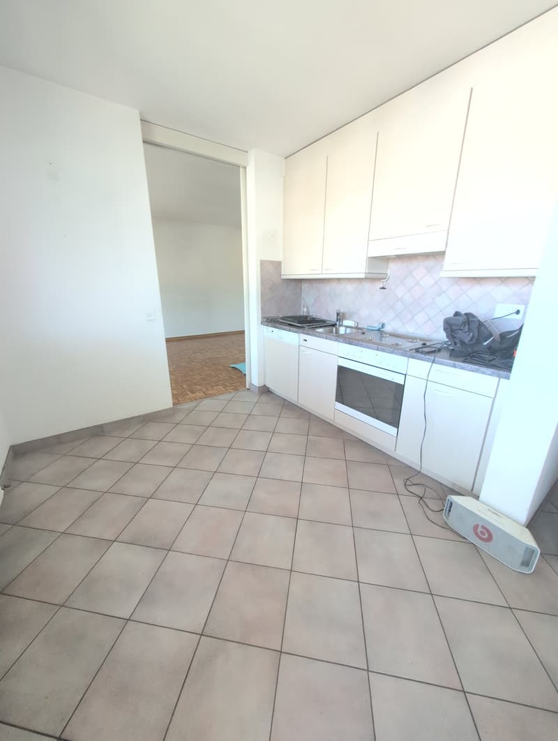 À louer ! Bel appartement de 4 pièces 1/2, dans un cadre familiale, à l'entrée de Sion ! (2)
