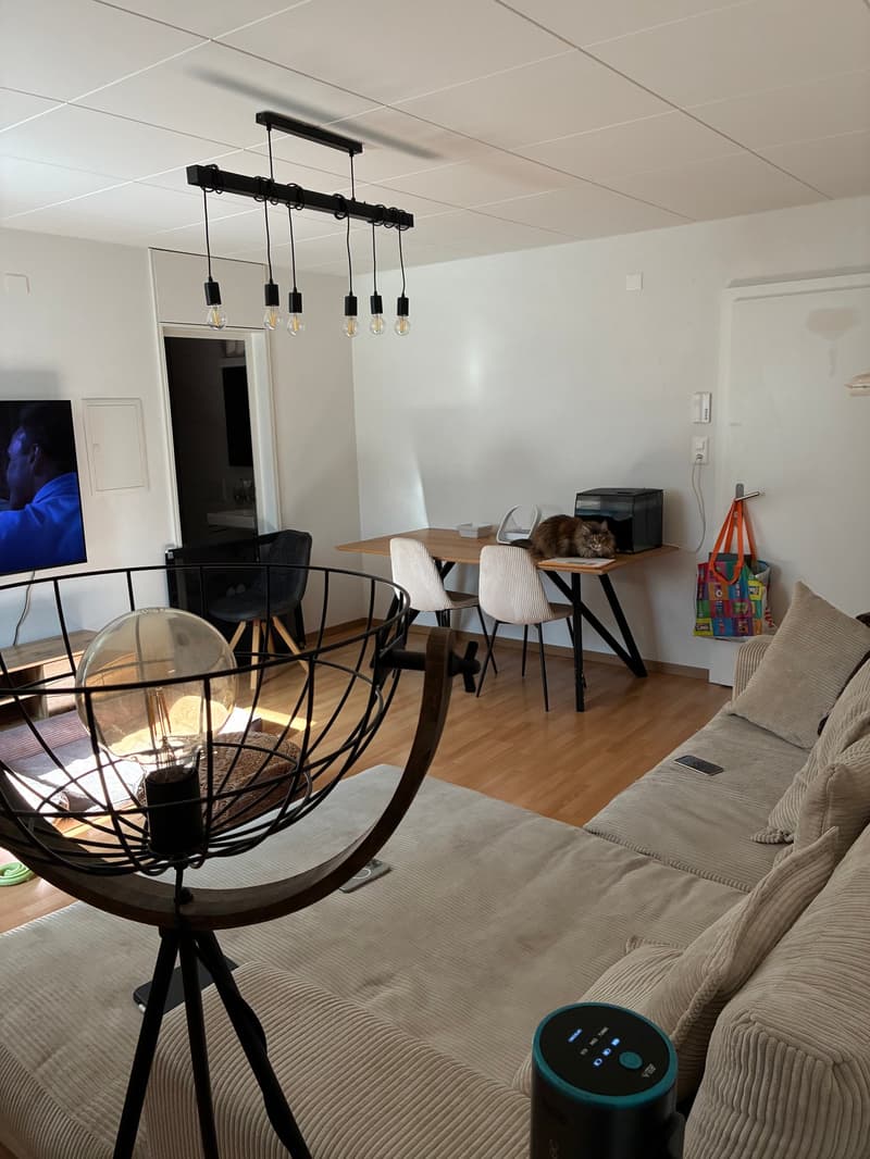 Zu vermieten, eine schöne 2-Zimmer-Wohnung, in einem Altbau, im Herzen von St-Maurice! (3)