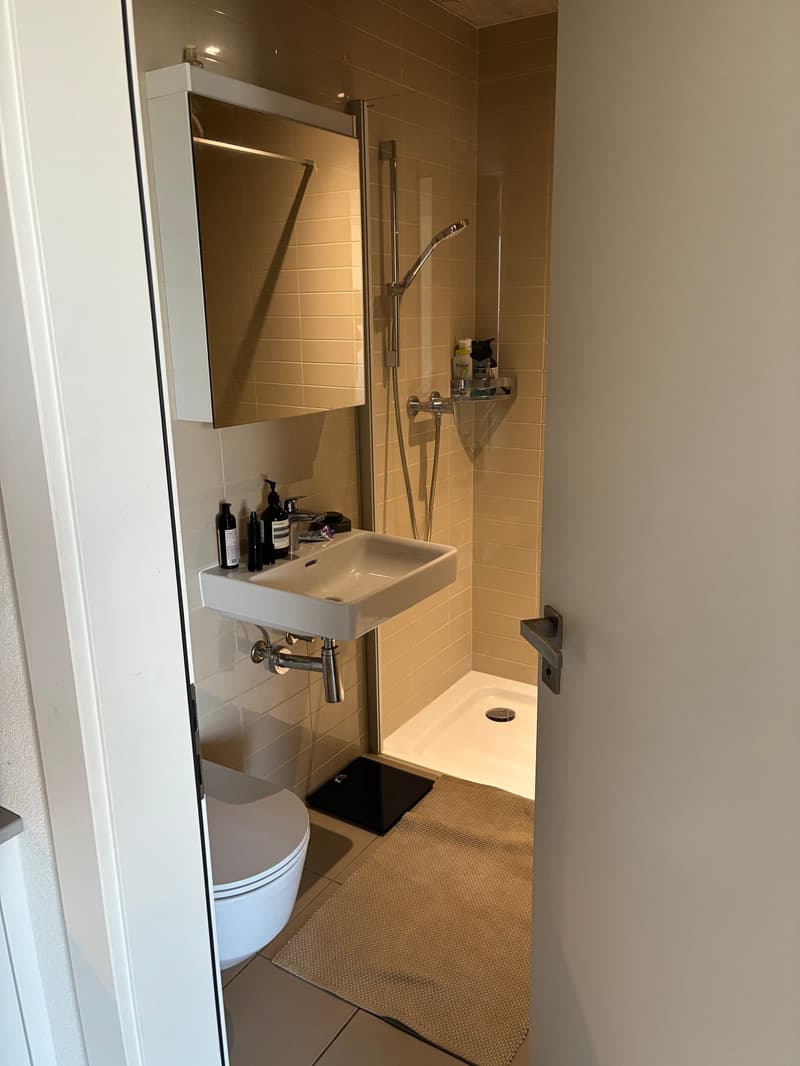 Schöne Gelegenheit! Zu vermieten, ein charmantes Studio, am Place de Rome, in Martigny! (5)