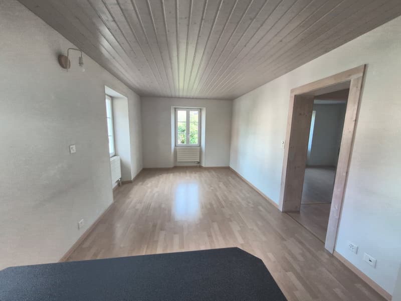À louer, un joli petit appartement de 2 pièces, dans une maison familiale, à St-Pierre-de-Clages ! (7)