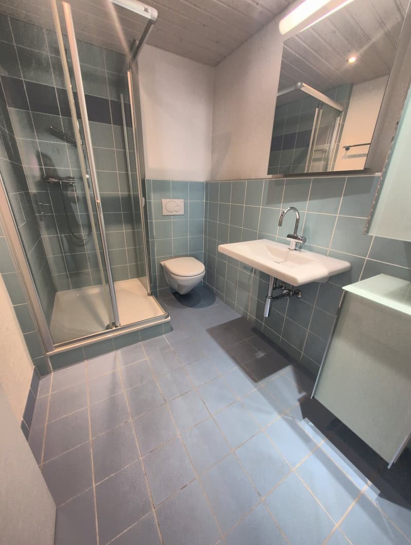 À louer, un joli petit appartement de 2 pièces, dans une maison familiale, à St-Pierre-de-Clages ! (10)