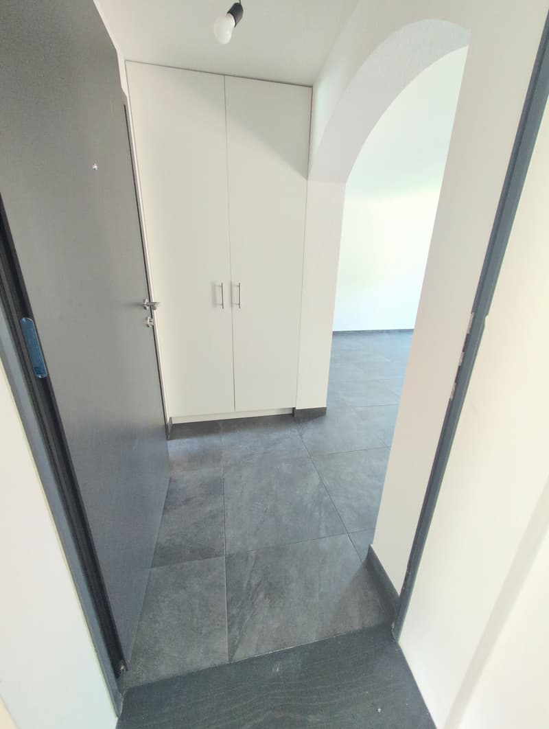 Occasione! In affitto, nel cuore di Charrat, un bell'appartamento di 3.5 locali ristrutturato, con una grande terrazza! (2)