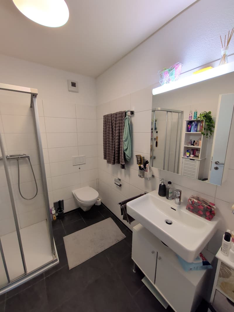 For rent! A spacious 2-room apartment with a parking space, in Sion (6)