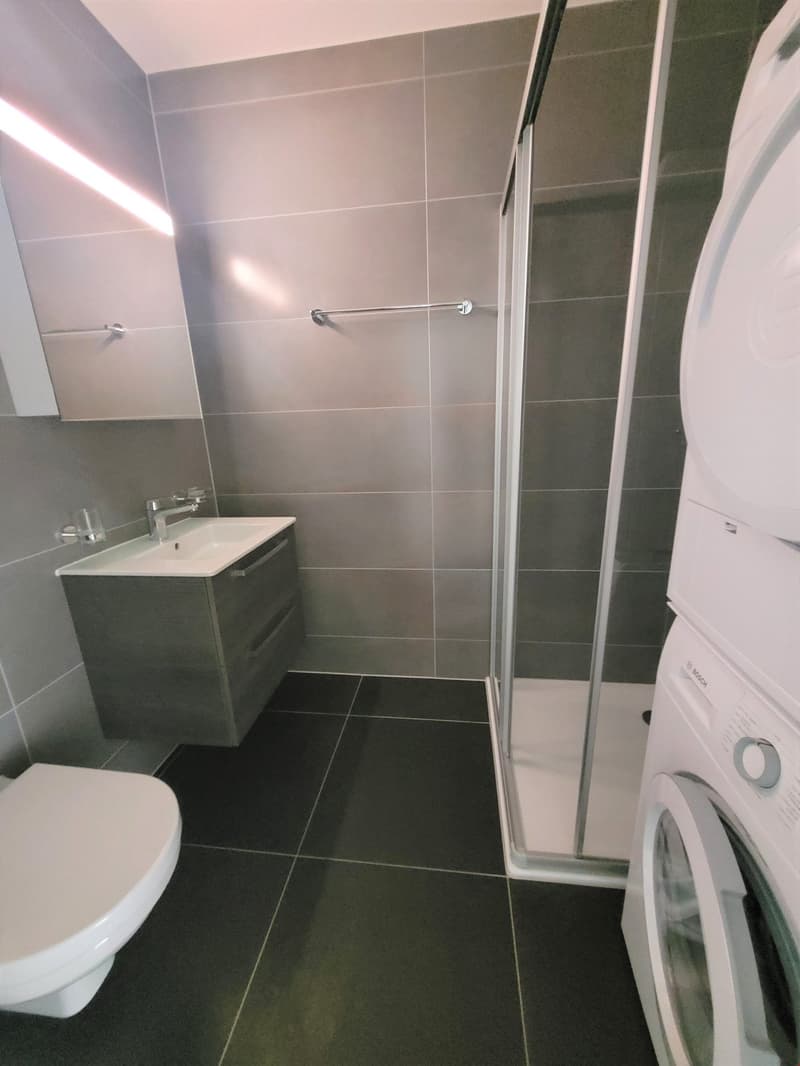 Zu vermieten! Eine schöne 3-Zimmer-Wohnung mit Rasenfläche in Martigny! (12)