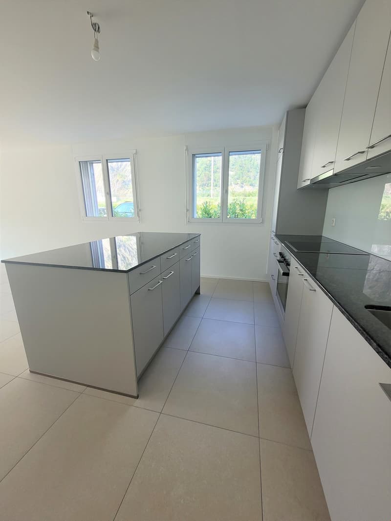 Zu vermieten! Eine schöne 3-Zimmer-Wohnung mit Rasenfläche in Martigny! (3)