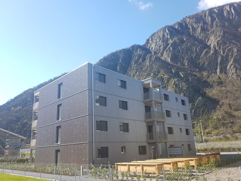 Zu vermieten! Eine sehr schöne 2-Zimmer-Wohnung im Chemin du Milieu in Martigny! (1)