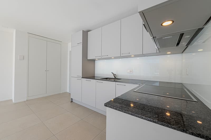 Zu vermieten! Eine sehr schöne 2-Zimmer-Wohnung im Chemin du Milieu in Martigny! (4)