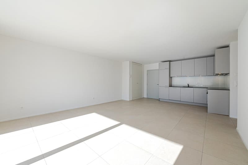 Zu vermieten! Eine sehr schöne 2-Zimmer-Wohnung im Chemin du Milieu in Martigny! (6)