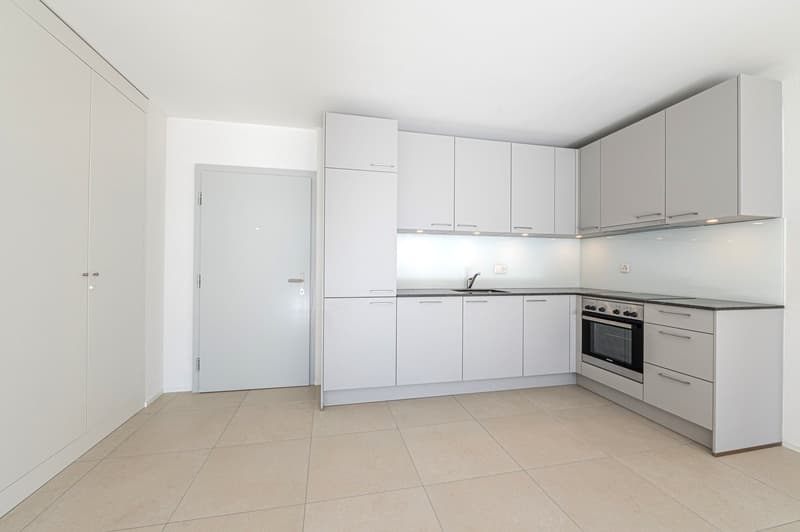 Zu vermieten! Eine sehr schöne 2-Zimmer-Wohnung im Chemin du Milieu in Martigny! (3)
