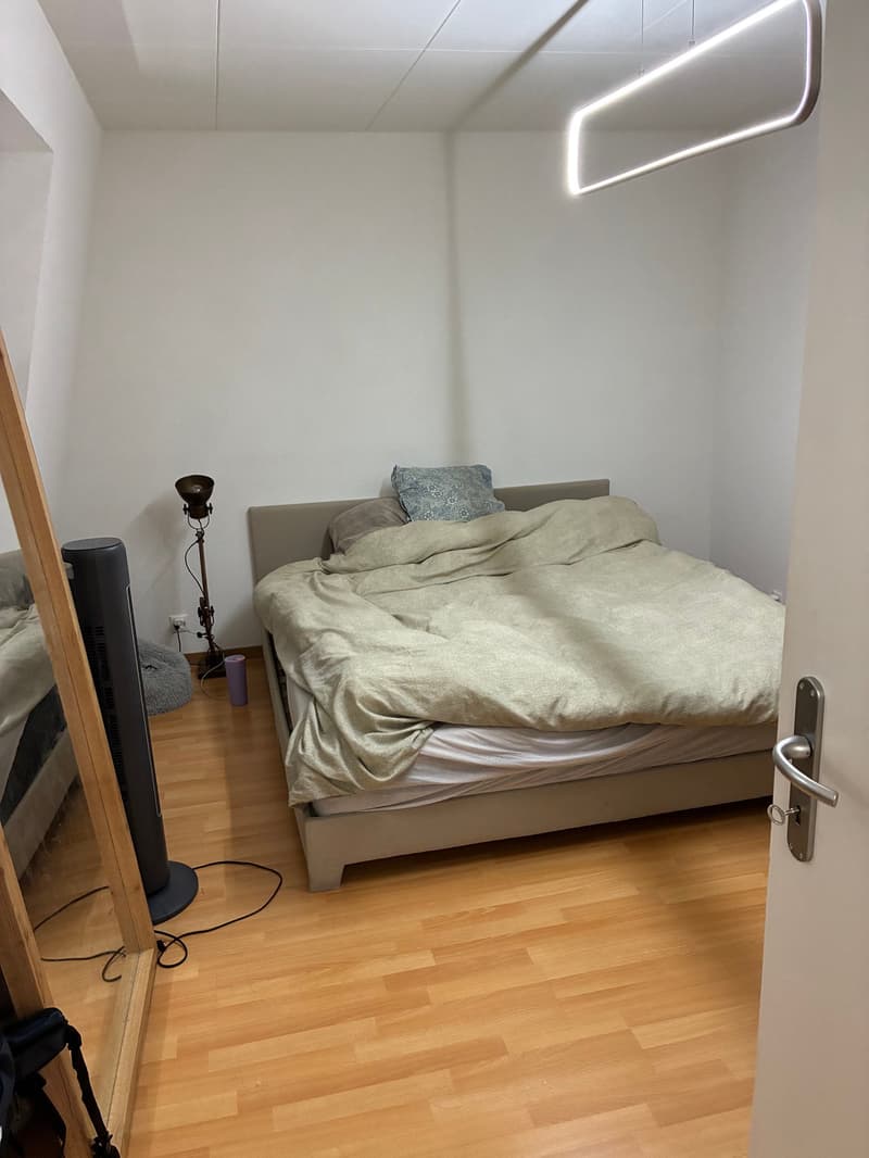 À louer, un joli appartement de 2 pièces 1/2, dans un immeuble d'époque, au coeur de St-Maurice ! (5)
